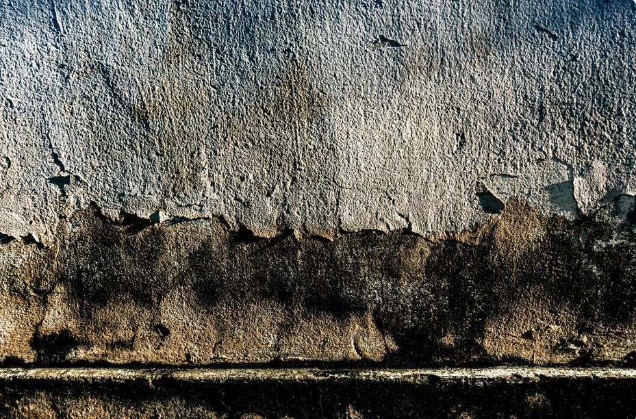 como quitar humedad por capilaridad de raíz